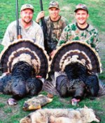 Turkey hunting valentine nebraska