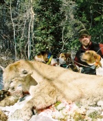 Idaho Mountain Lion Hunting