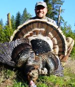 Washington Turkey Hunting Guide