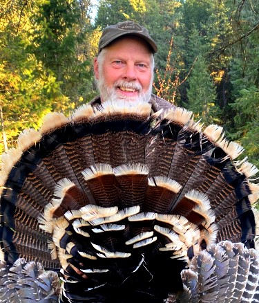 Washington Turkey Hunting Guide