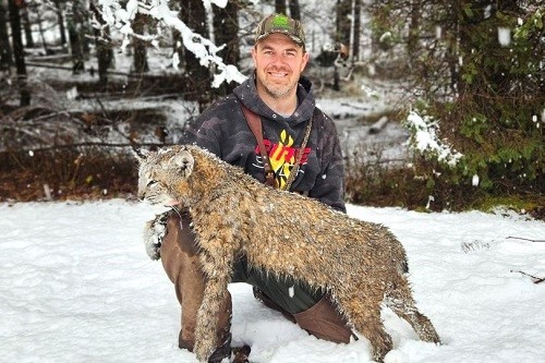 Guided Bobcat Hunting
