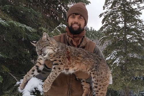 Idaho Bobcat Hunting And Trapping