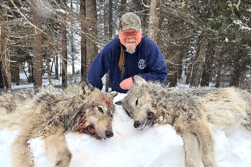 Idaho Wolf Hunting & Trapping