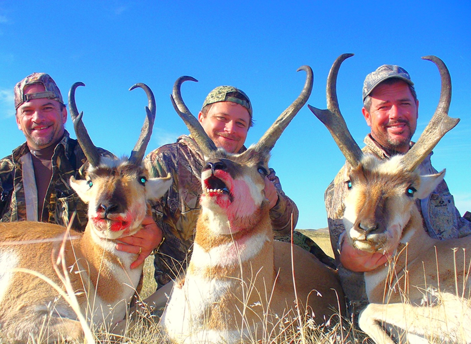 Zorzi Brothers Montana Antelope