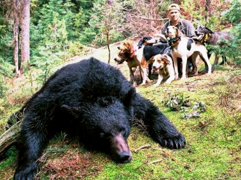 Idaho Bear Guide Brian Denney