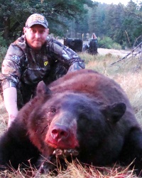 Rob's color phase bear hunt in Washington