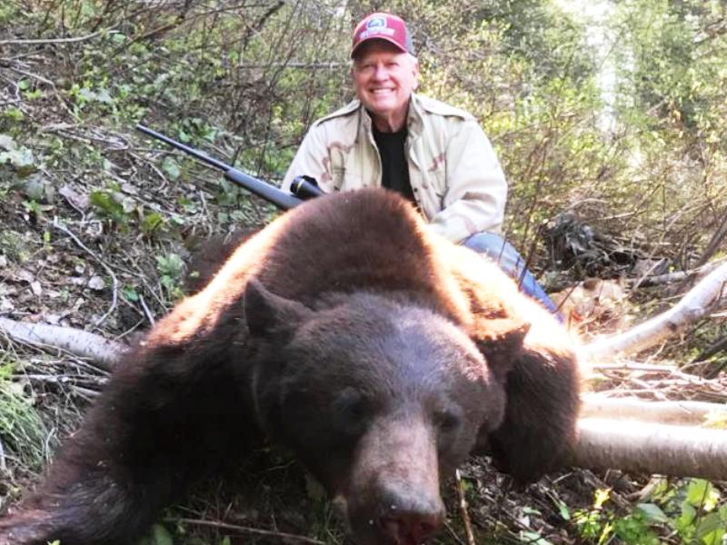 Idaho 6.5 Foot Color Phase Bear