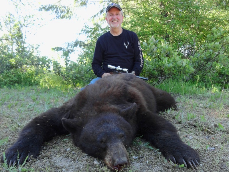 Idaho Bear Hound Hunt