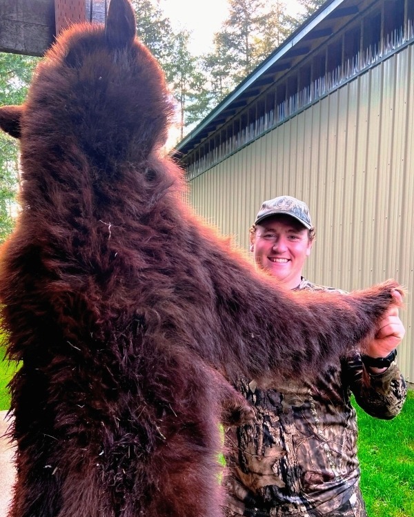 Northeast Washington Colorphase Bear