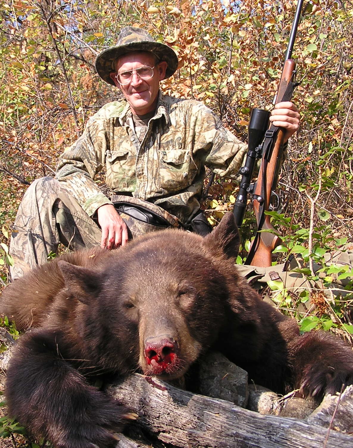 Northeast Washington Colorphase Bear
