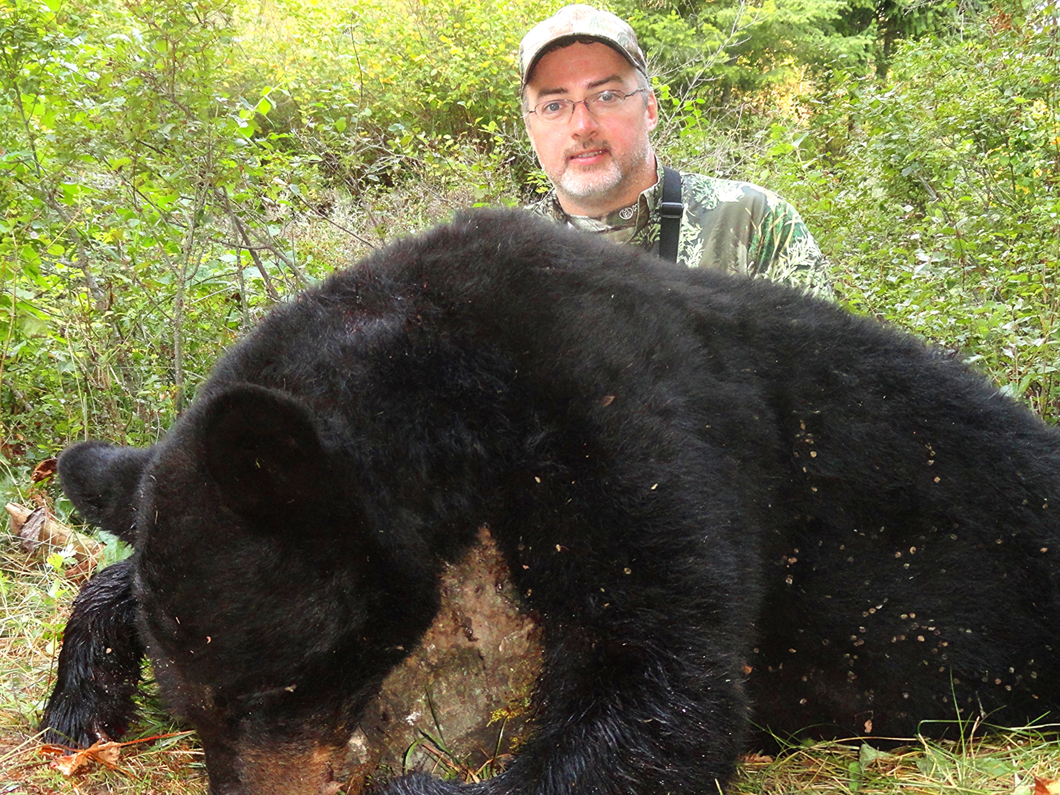 Washington Bear Spotted In Berries