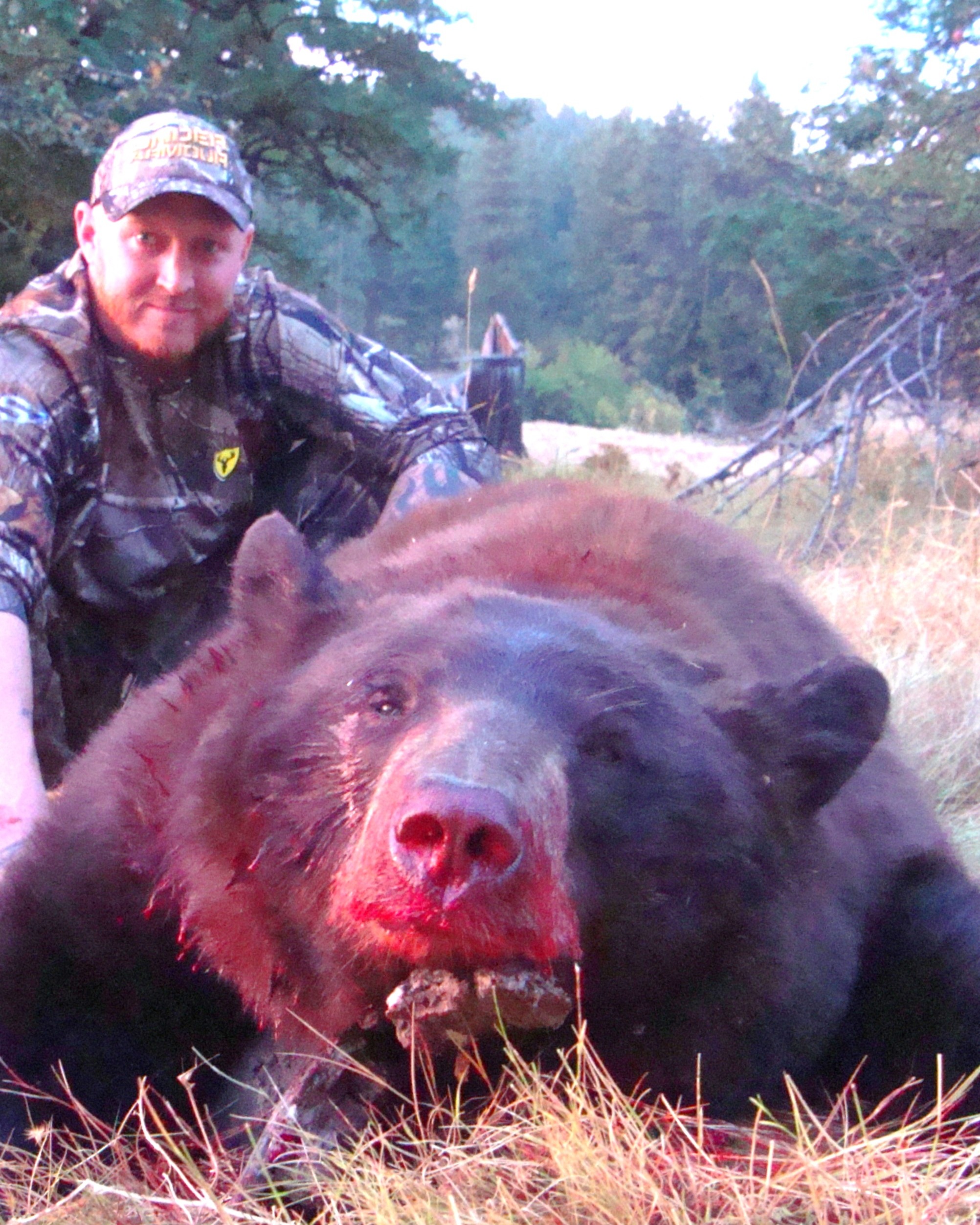 Washington Fall Bear Weather