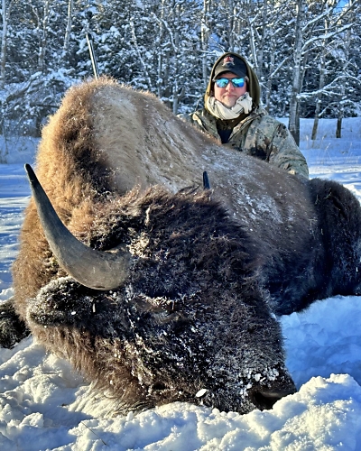 Montana Buffalo Hunt