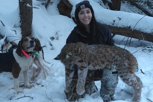 Karli's Bobcat Hunt