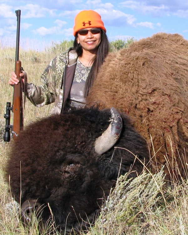 Cristina's Huge Montana Buffalo Bull