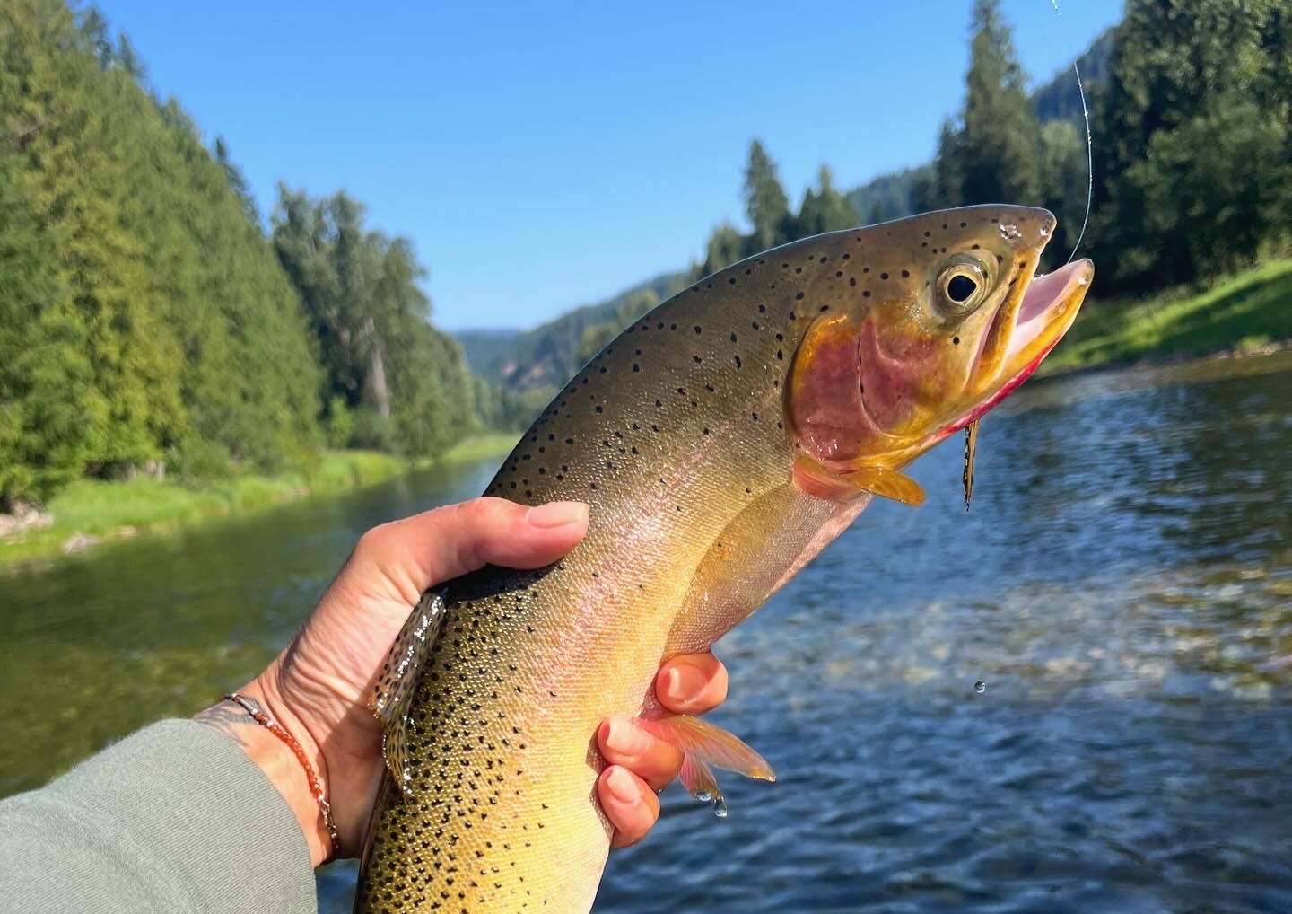 Guided Fishing Trips - Bearpaw Outfitters