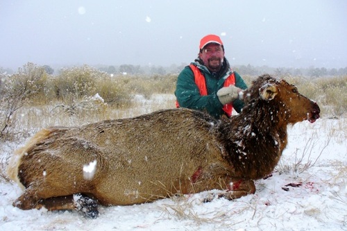 cow elk tag utah