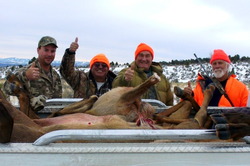 Group Cow Elk Hunt