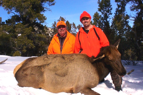 Utah Cow Elk Guides