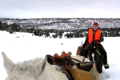 Horse Packing Cow Elk