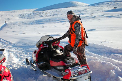 Cow Elk Hunting On Snowmobile