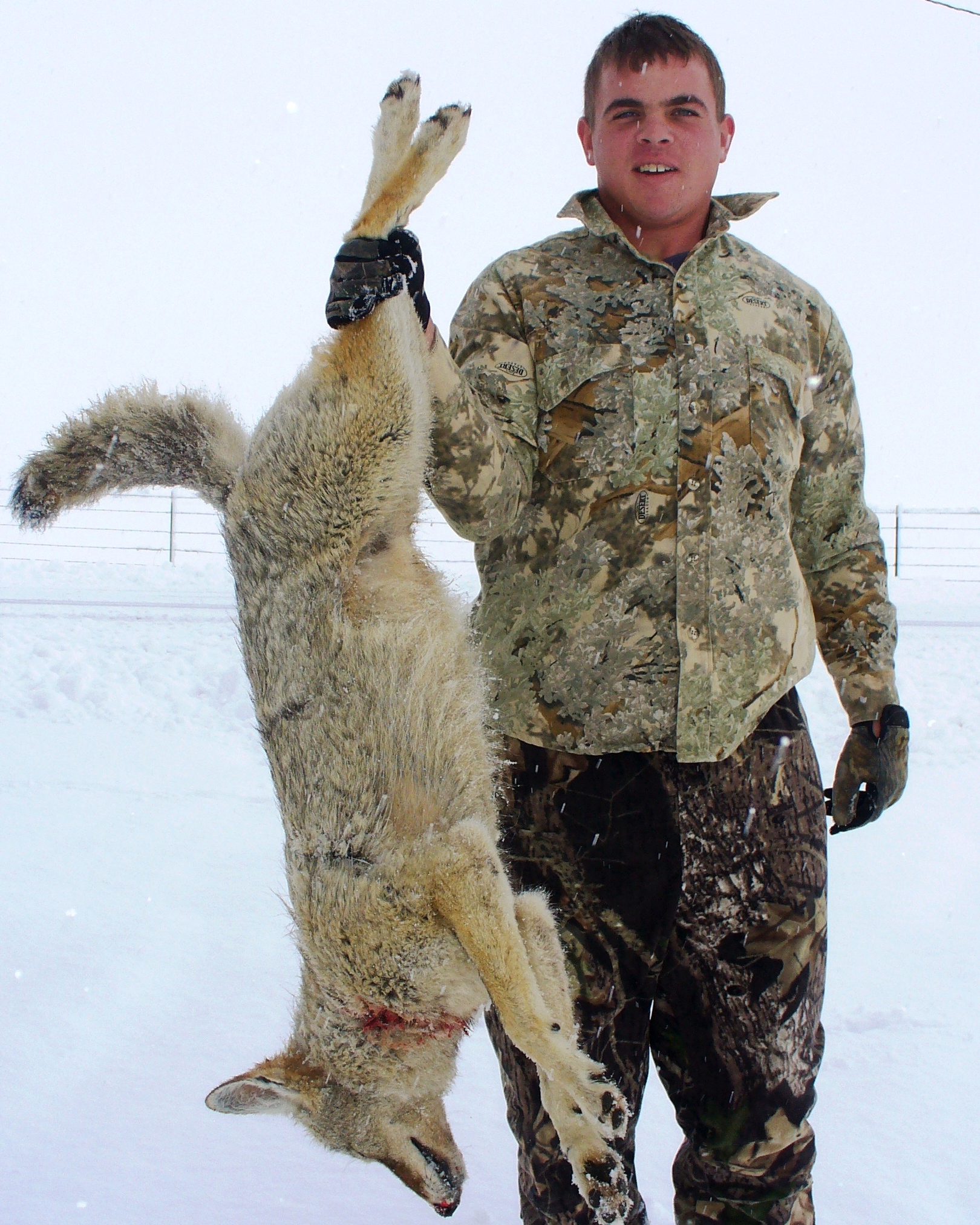 Coyote Hunting License Over The Counter