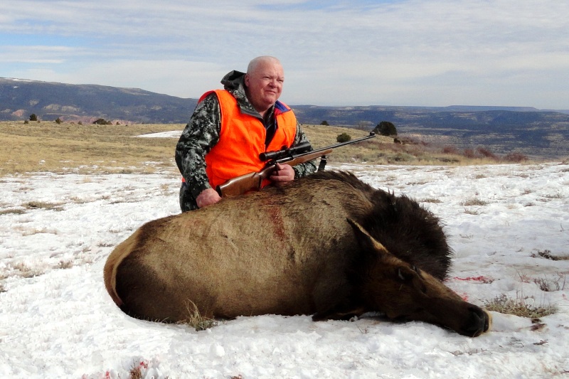 Cow Elk Hunt