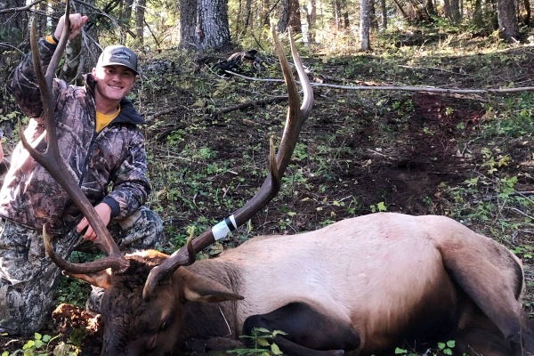 Idaho Elk Hunting