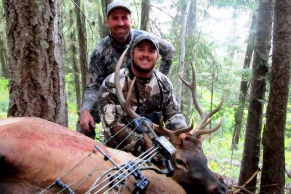 Archery Elk Hunting Guides