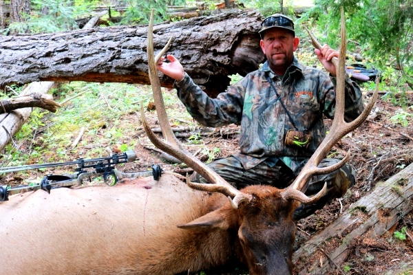 Photo Bill's Archery 6x6 Bull Elk