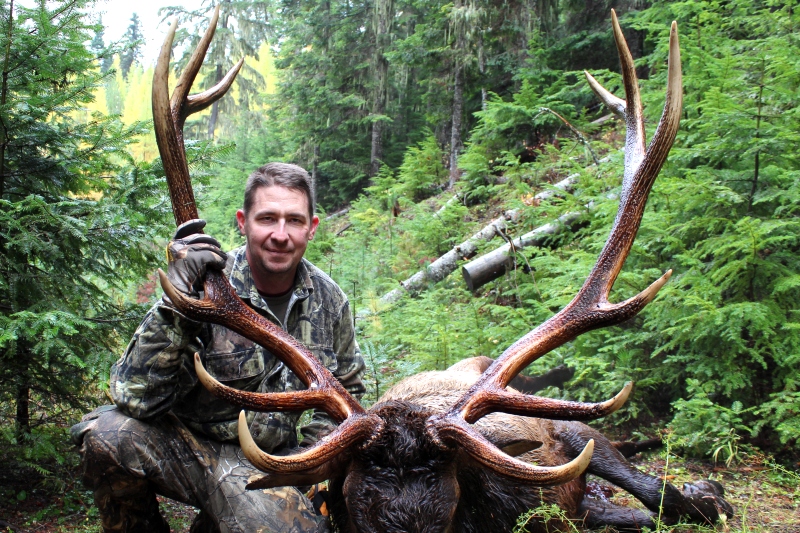 Elk Hunting 6x6 Idaho Bull Elk