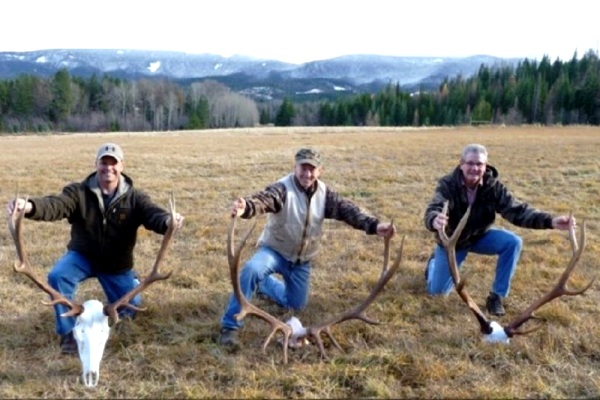 Elk Hunting in Idaho