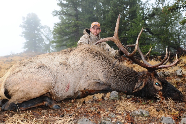 5-day Idaho Elk Hunt for One Hunter with Former NFL All-Pro Rulon