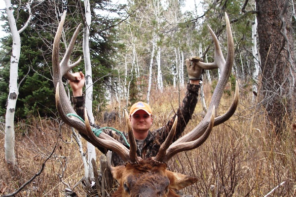 Photo Of 6x7 Idaho Bull Elk