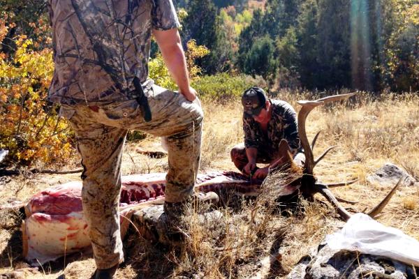 Field Dressing & Boning An Idaho Elk