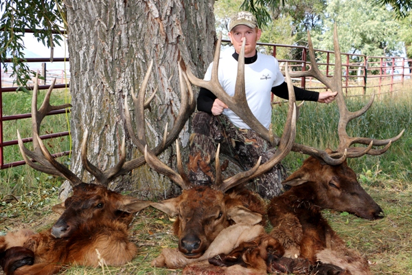 Idaho Bull Elk Hunting Outfitters And Guides