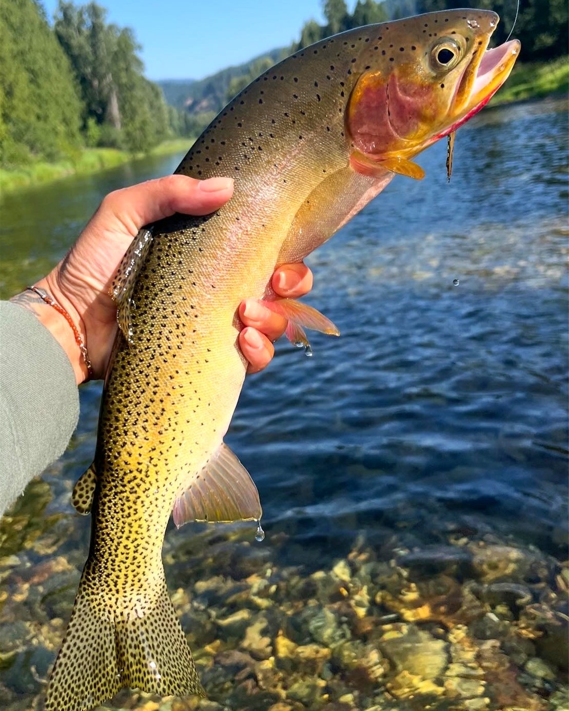 What To Bring Idaho Fly Fishing