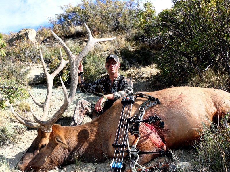 Utah Elk Bow Hunt