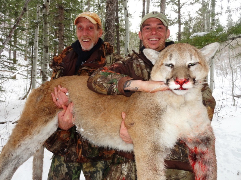 Idaho Mountain Lion Hunt