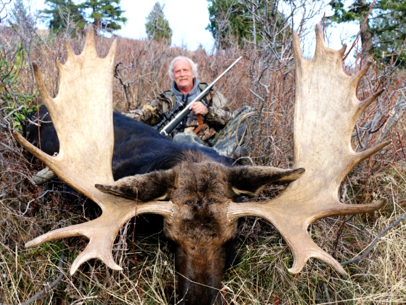 Idaho Moose Hunt
