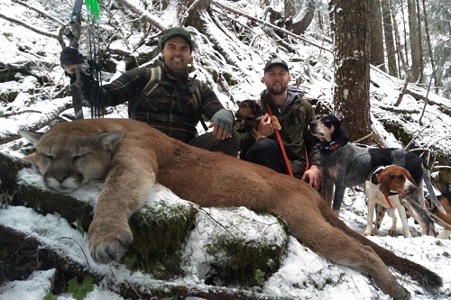 Matthew's Recordbook Mt Lion