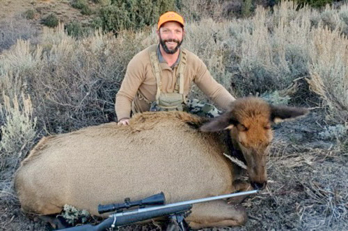 Idaho Cow Elk Guides