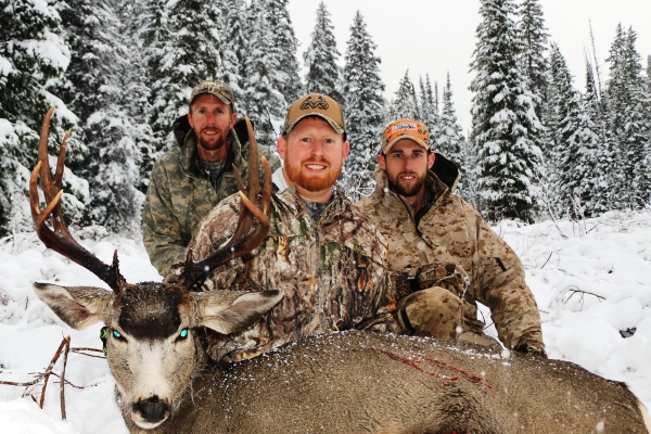 Mule Deer Hunt In Snow