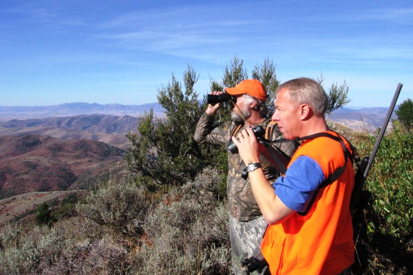 Glassing for Idaho Mule Deer