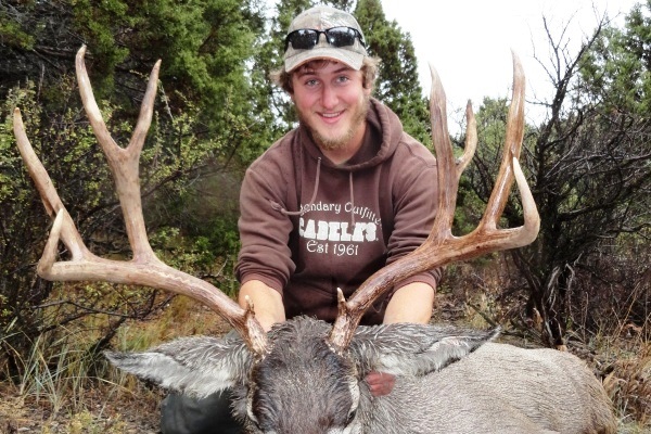 Guided Mule Deer Hunting In Idaho, Guaranteed Tags