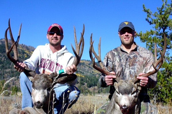 Idaho Mule Deer Hunting Guides Outfitter Guaranteed Hunts Lodge