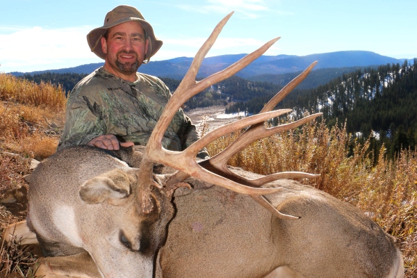 Quality Idaho Mule Deer