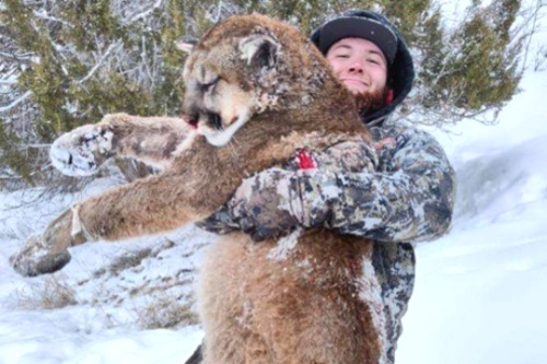 Bearhugging A Mountain Lion