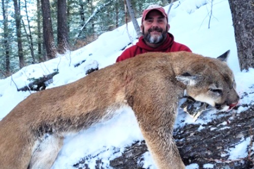 Idaho Mt Lion (Cougar) Hunts