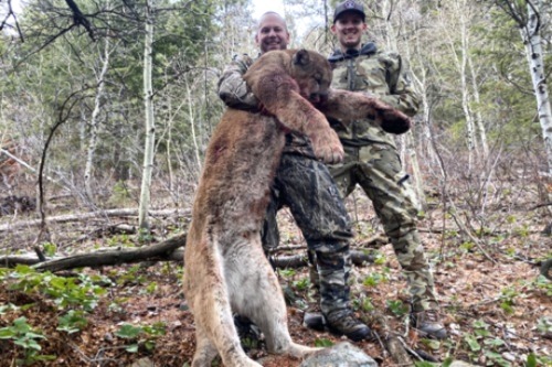 Lion Caught On Dry Ground